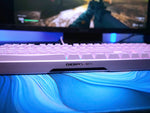 Xtrfy MX 3.1 Vit - 100% Full Size Mekaniskt Tangentbord